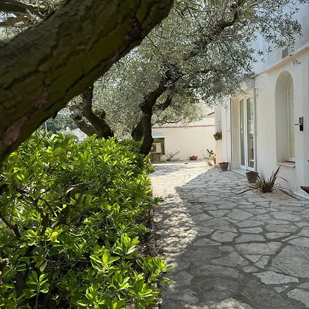 Les Salines Maison De Au Grau Du Roi Apartment *